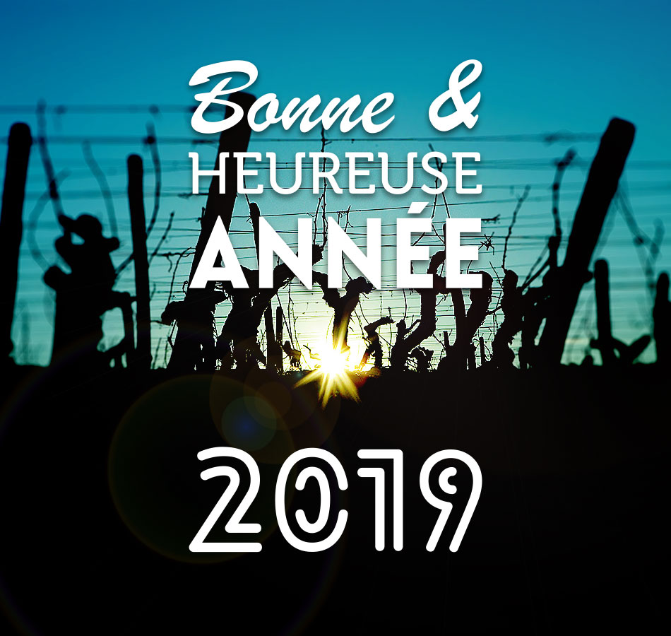 voeux2019